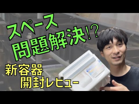 メダカ 話題の新商品♪何これ！？めっちゃいい！【わけぷか】 - YouTube