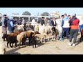 مرأة تخرج عن عادتها حليلي بنيتي رنا زواولة و العلوش نا ر اللي تسومو يقلك زوز ملاين يستغلو في المواطن 