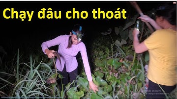 903 / Cắm Câu Sông Cái Bé Dính Cá Thấy Ham