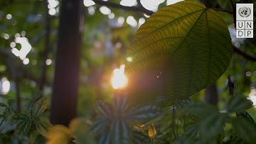 Message by UNDP Administrator Achim Steiner on International Day for Biological Diversity 2023