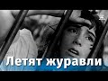 Летят журавли (FullHD, драма, реж. Михаил Калатозов, 1957 г.)