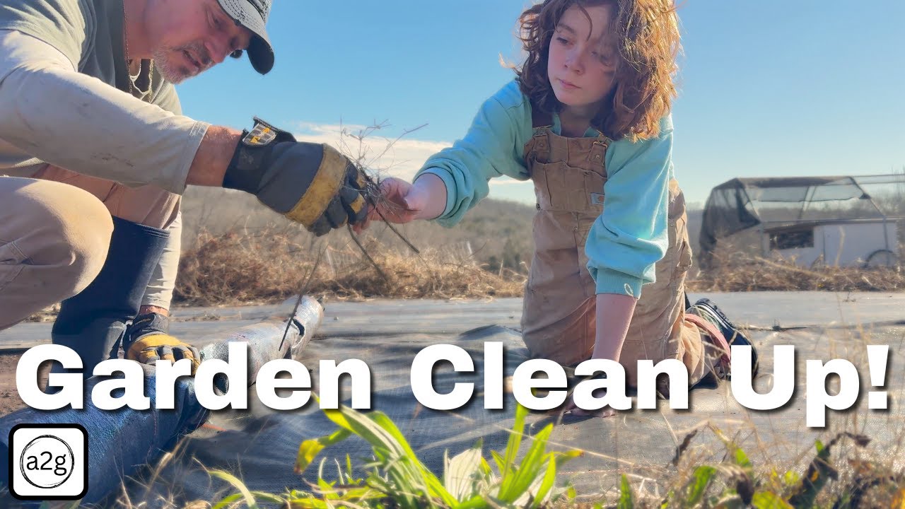 Winterize Your Garden the RIGHT Way for a Thriving Spring! - YouTube