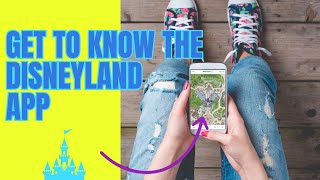 Essential Disneyland App Features You Need to Know screenshot 3