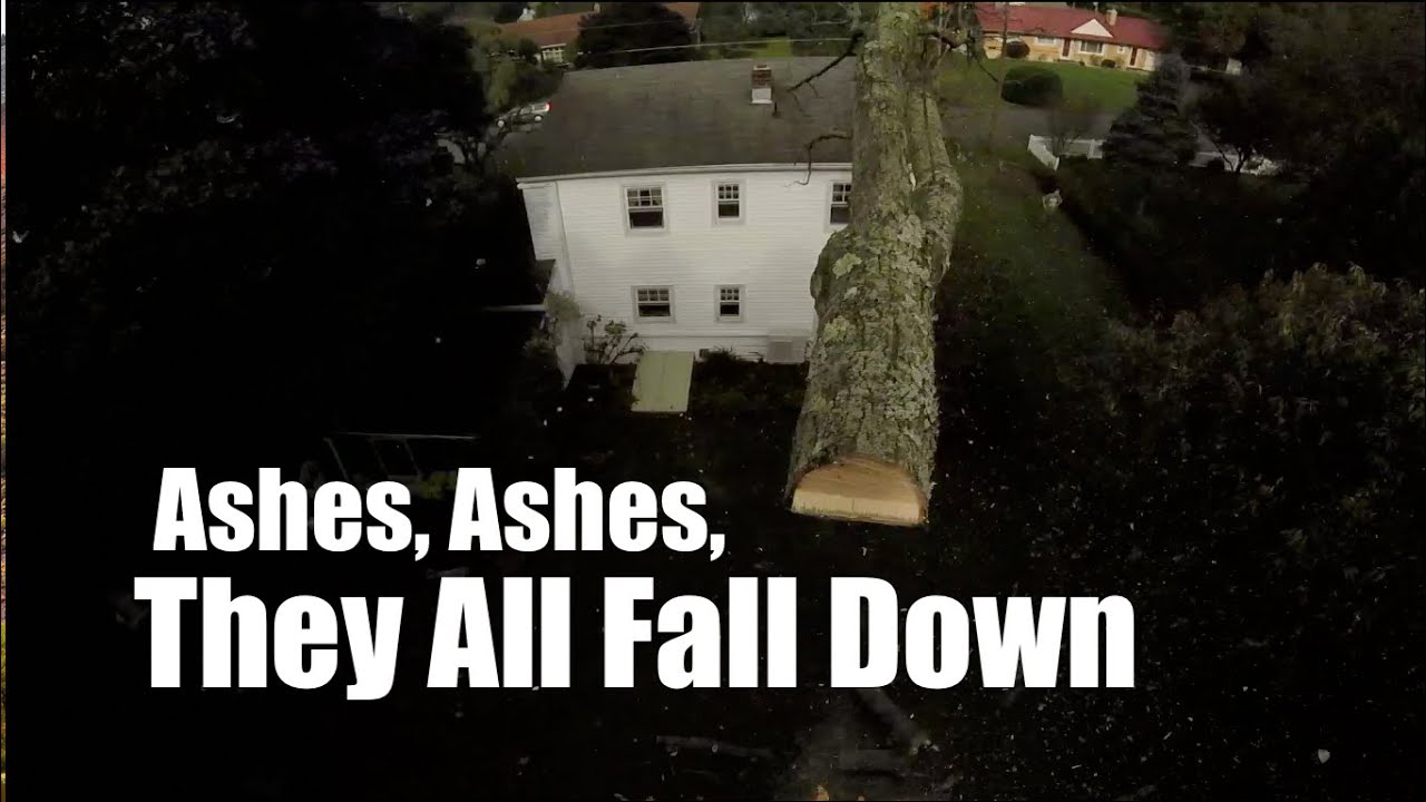 ashes-ashes-they-all-fall-down-youtube