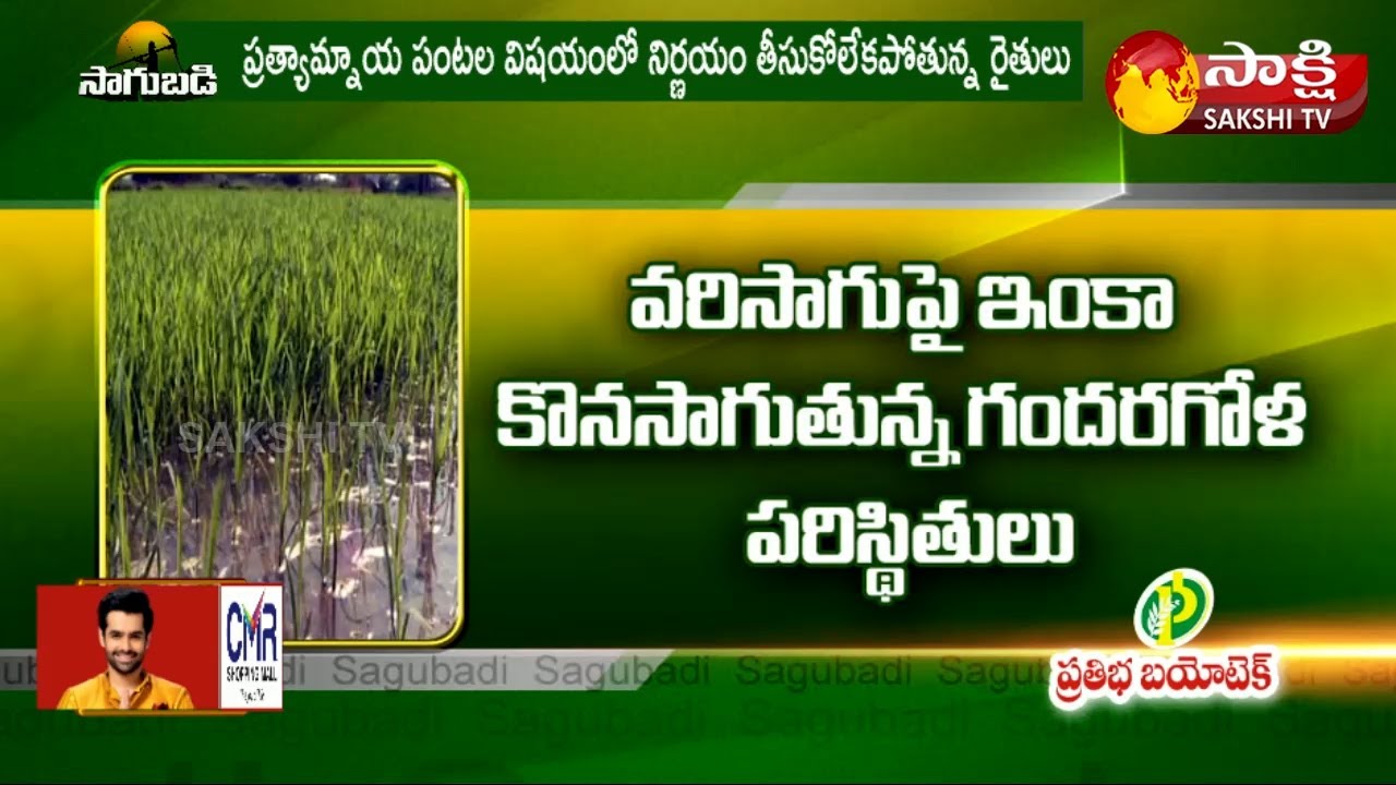 Palamuru Farmers Facing Problems To Paddy Crop | Telangana Farmers | Sakshi TV Business