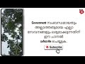 neighbor's trees bother you? | അയൽക്കാരന്റെ മരങ്ങൾ നിങ്ങൾക്ക് ശല്യമാകാറുണ്ടോ? | panchayath raj act Mp3 Song