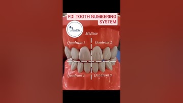FDI TOOTH NUMBERING SYSTEM #youtubeshorts #shortsvideo