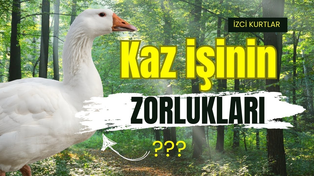 KAZ İŞİNİN ZORLUKLARI 