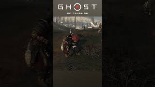 Wrong Samurai to Mess With ⚔️⚔️ #shorts #gaming #ghostoftsushima
