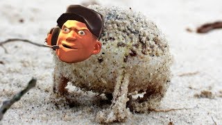 Angry Squeaking Scout