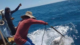 MARÉ  BOA DE PEIXES GRANDES COM PESCADORES EM AÇÃO JANGADA