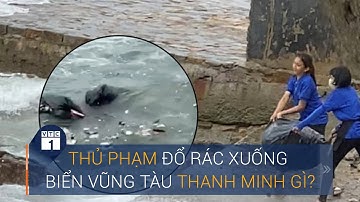 Quăng rác xuống biển Vũng Tàu: Lời thanh minh “hồn nhiên” của “thủ phạm" | VTC1