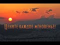 Из всех праздников важнее всего праздновать ЖИЗНЬ. И делать это ежедневно...