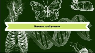 Биология 8 класс $50 Память и обучение Биология 8 класс $50 Память и обучение