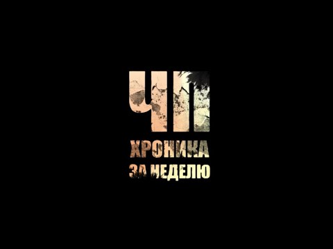 ЧП за неделю: на 14 лет за убийство, собаки против людей и нетрезвые читинцы за рулем