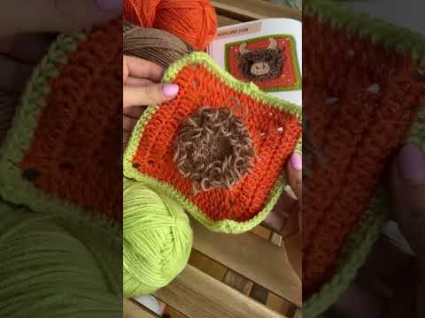 Highland cow square