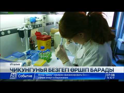 Бейне: Безгектің маса арқылы тарайтынын кім ашты?