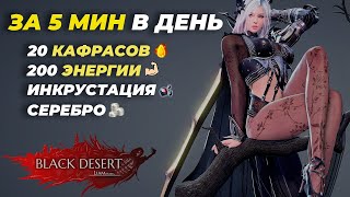 🔥Полезное задание в Black Desert, кафрасы, энергия, инкрустация, серебро /Для новичков в бдо / BDO