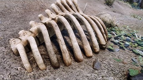 Part 9 - Lets Play The Skyrim SE 2021 Next Gen Graphics Edition!