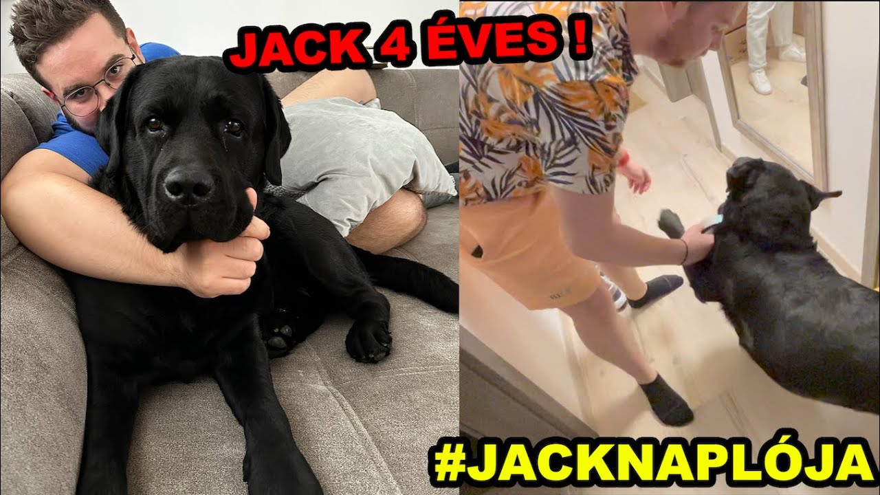 Jack 4 ÉVES LETT ! és ajándékot kapott ZsDav -tól és Aidától ! | Jack Naplója !