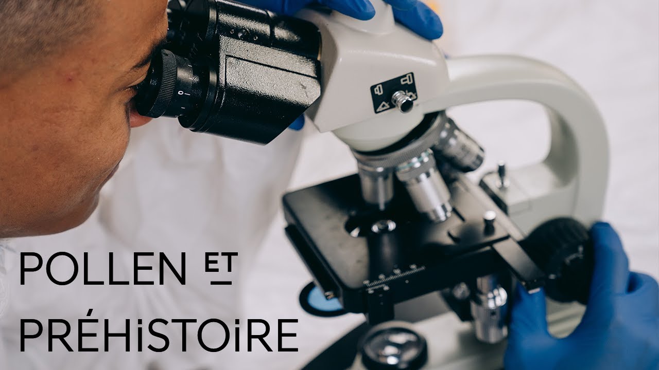 Comprendre l'Homme préhistorique grâce au pollen