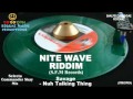Nite Wave Riddim Mix November 2011 S F M Records mp3