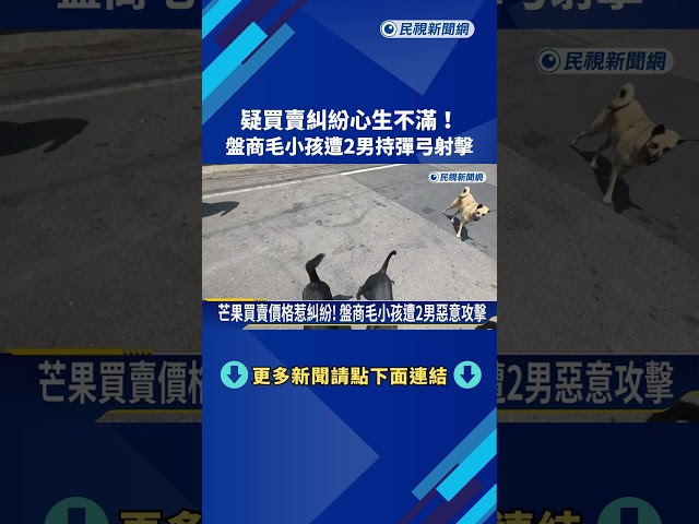 芒果買賣糾紛"遷怒盤商毛小孩" 兩男子暗夜持彈弓射擊－民視新聞