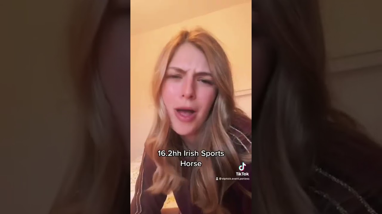 What’s your favourite horse breed?