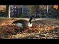 Watch this video
