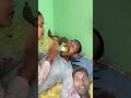veri nice 👍 #comedy #viralvideo #funny #manimeralcomedy