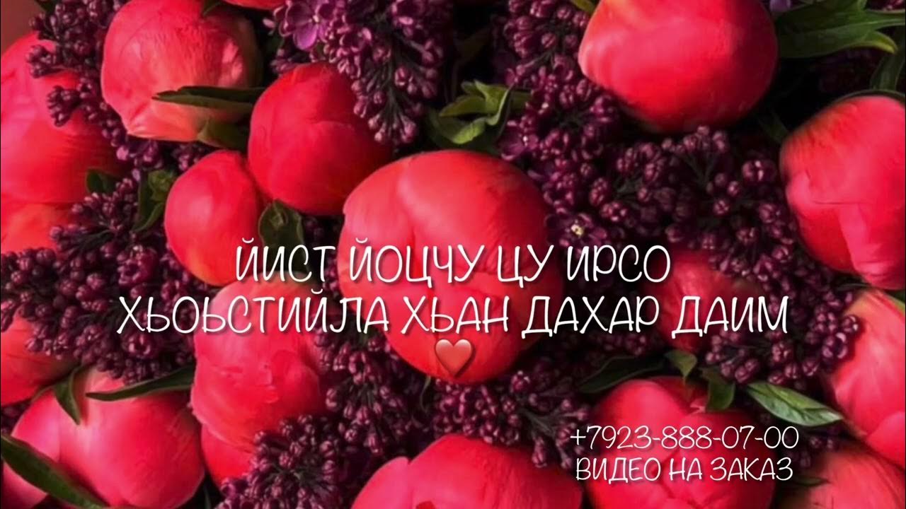 Декъал веш дешнаш. Декъал веш дешнаш. Винчу денца декъал веш. Декъал веш дешнаш. Хаза дешнаш.