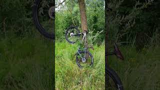 DKN DSH🤣 #mtb #wheelie #automobile