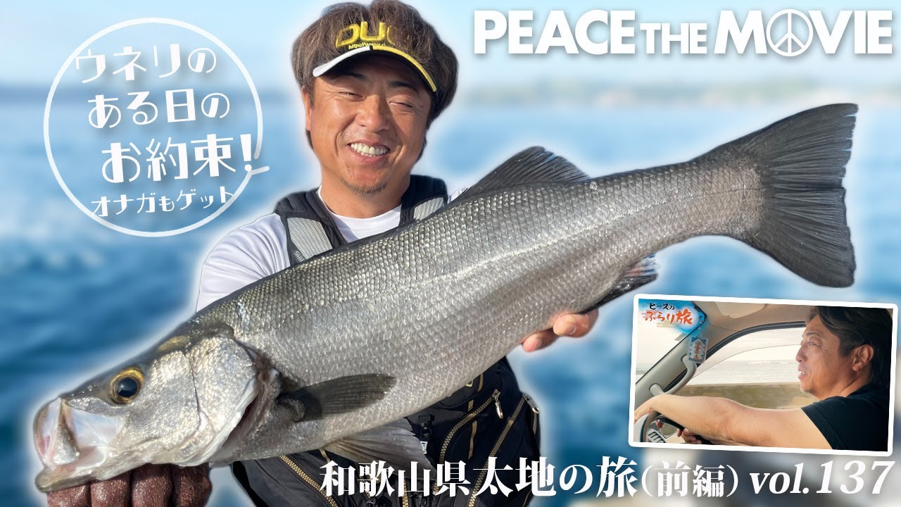PEACE THE MOVIE #137「四半世紀ぶりの再会、お腹でっぷりオナガを求めて」近畿地方・和歌山県 太地の旅/平和卓也（1553）