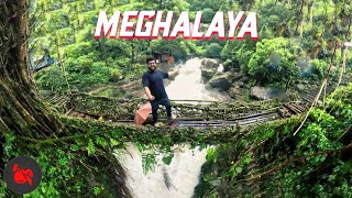 MEGHALAYA TRAVEL VLOG (wettest place on Earth) 🤯 | Living Root Bridge, Cherrapunji, Mawlynnong