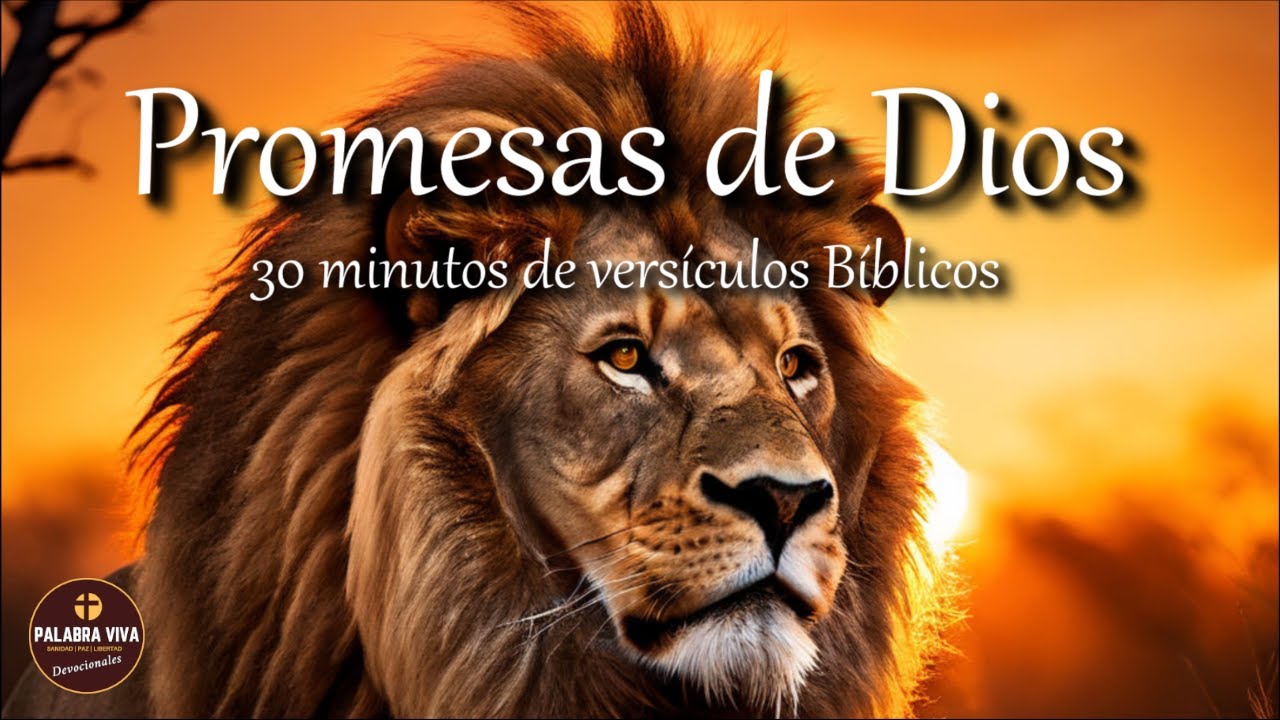 Promesas de Dios ¡no temas! | versiculos Biblicos para recibir paz | Biblia hablada