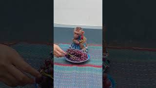 Pruno So Surprise When Mom Give Alot Of Grapes For Him #cute #viralvideo #video