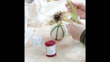 Christmas Ornaments Needle Felting Kit