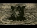 Creepypasta - Soy un Oso. 