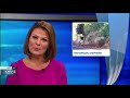 Nomadic Shepherd on The News! 😂