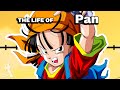 The life of pan dragon ball