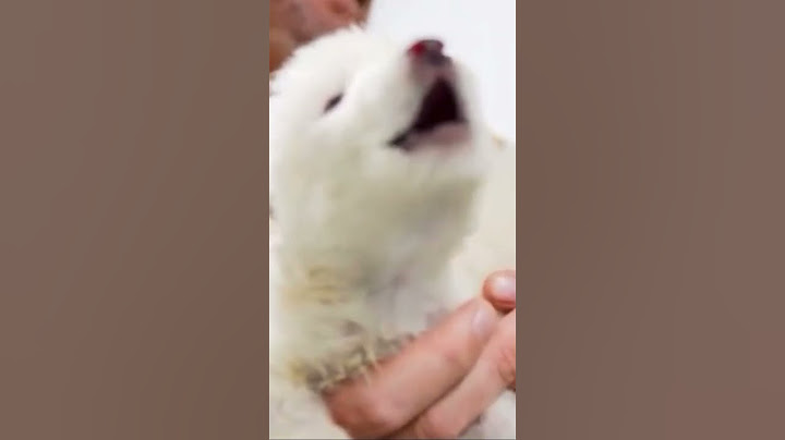 The first dire wolf howl in over 10,000 years #direwolf