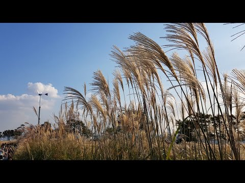너무아픈 사랑이 아니었음을 (박새별)  / 잊어야 한다는 마음으로 (김주혁)
