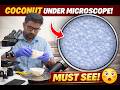 Coconut Under Microscope 🔬 | Nariyal Ka Real Structure! 😱#microscope #science #trending#viral#shorts