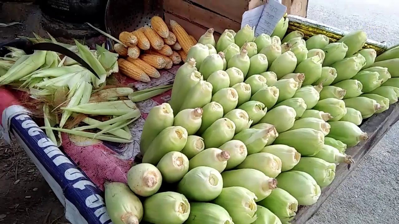 Corn on the Cob prepare in salt heat by pathan by Cook to Eat - YouTube