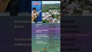 Guitarra Luswin Godoy