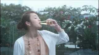 FIBE MINI Commercial