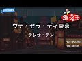 【カラオケ】ウナ・セラ・ディ東京/テレサ・テン