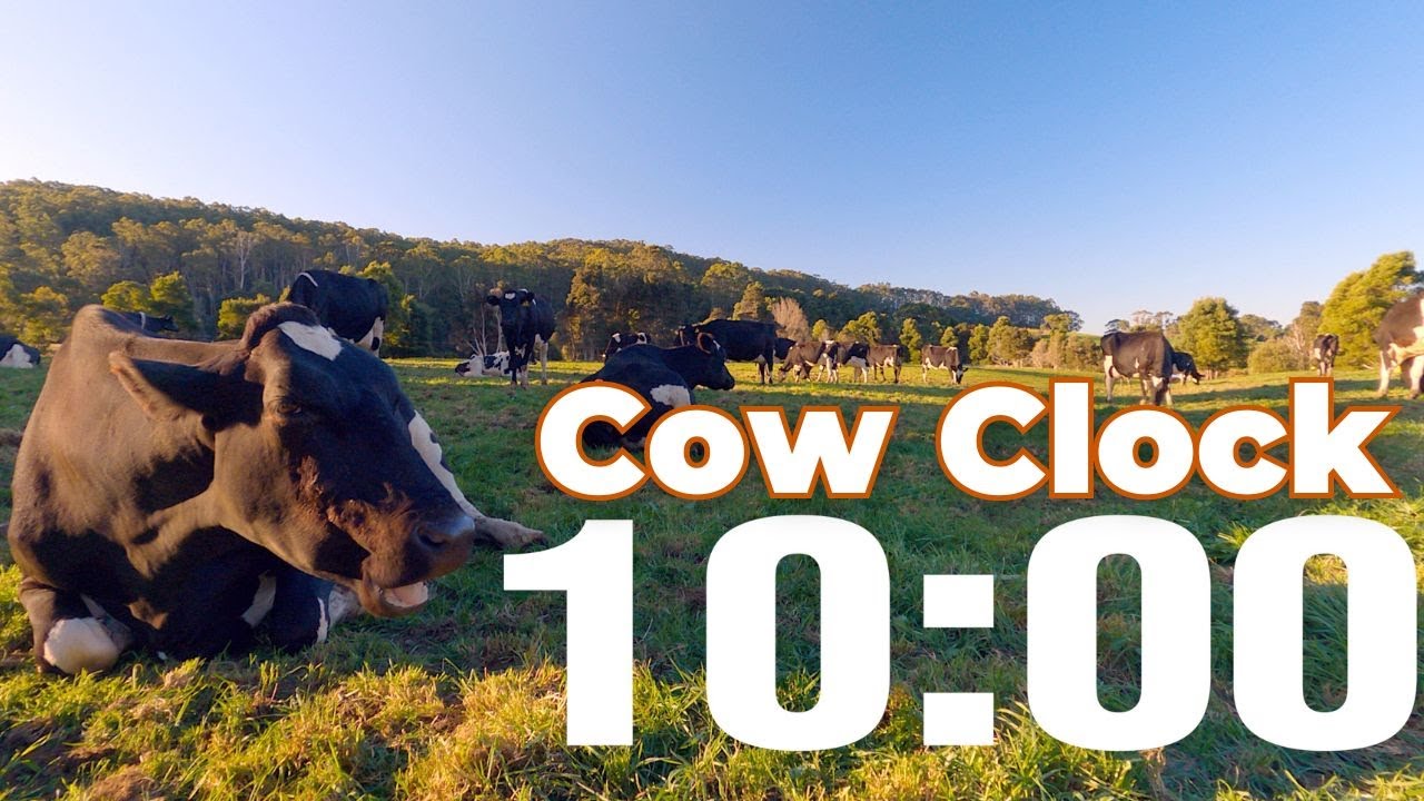 ⏳ Countdown with Cows | 10 minute timer | Cowork with Cows - YouTube