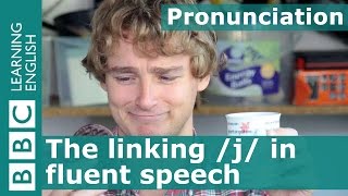 Pronunciation: The linking \/j\/