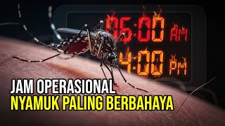WHAT TIME IS THE AEDES AEGYPTI MOSQUITO ACTIVE?
